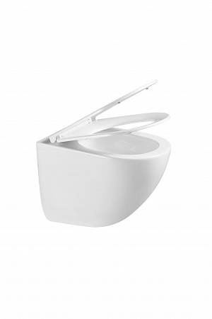 Подвесной унитаз безободковый Terminus Аврора Монолит 495х360 белый Ессентуки - фото 8