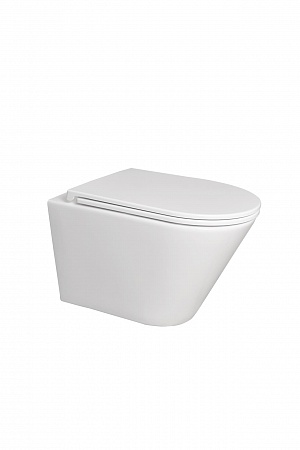 Подвесной унитаз безободковый Terminus Классик 540х365 белый Ессентуки - фото 5