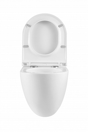 Подвесной унитаз безободковый Terminus Аврора Монолит 495х360 белый Ессентуки - фото 7